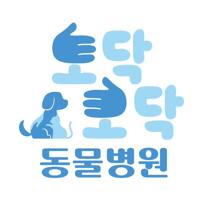 토닥토닥